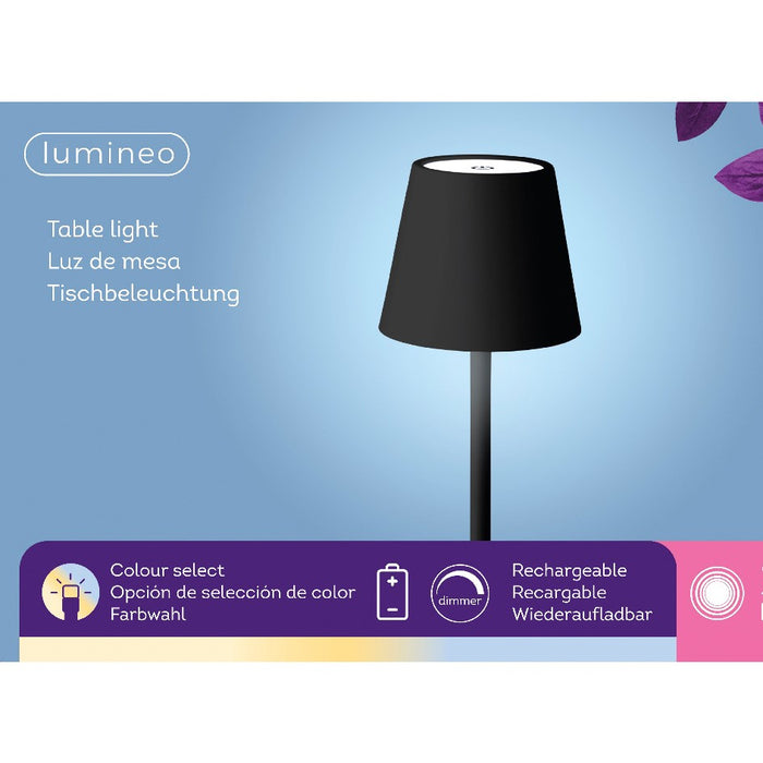 Lumineo Lampada da tavolo ricaricabile a LED per esterni, bianco sintonizzabile, incl. cavo USB, metallo, 37cm