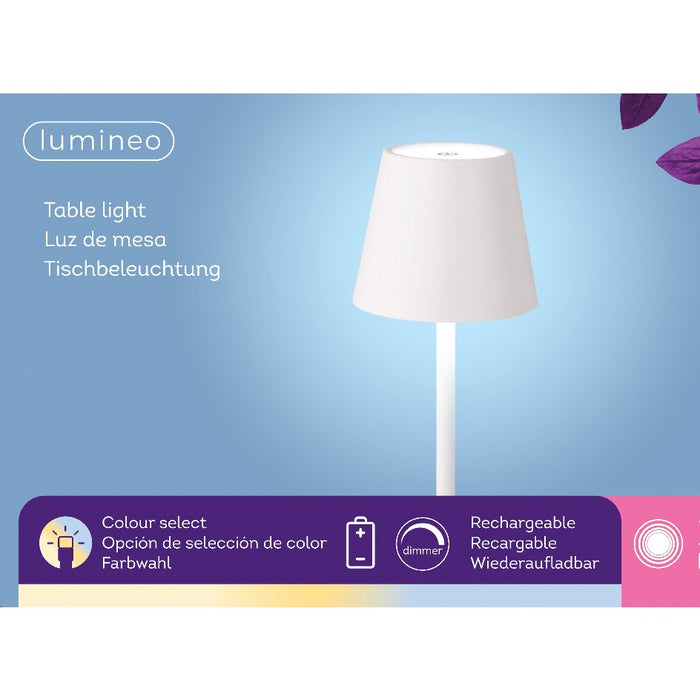 Lampe de table LED rechargeable d'extérieur Lumineo, blanc réglable, avec câble USB, métal, 37 cm