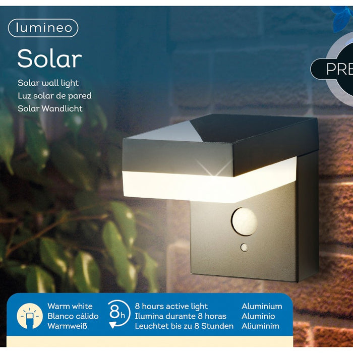 Lumineo solar-powered LED wall light, 12.5cm, motion detector, anthracite