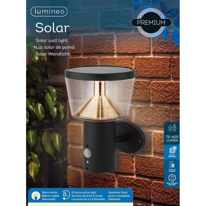 Lumineo solar powered LED wall light, 23cm, motion detector, stainless steel, anthracite