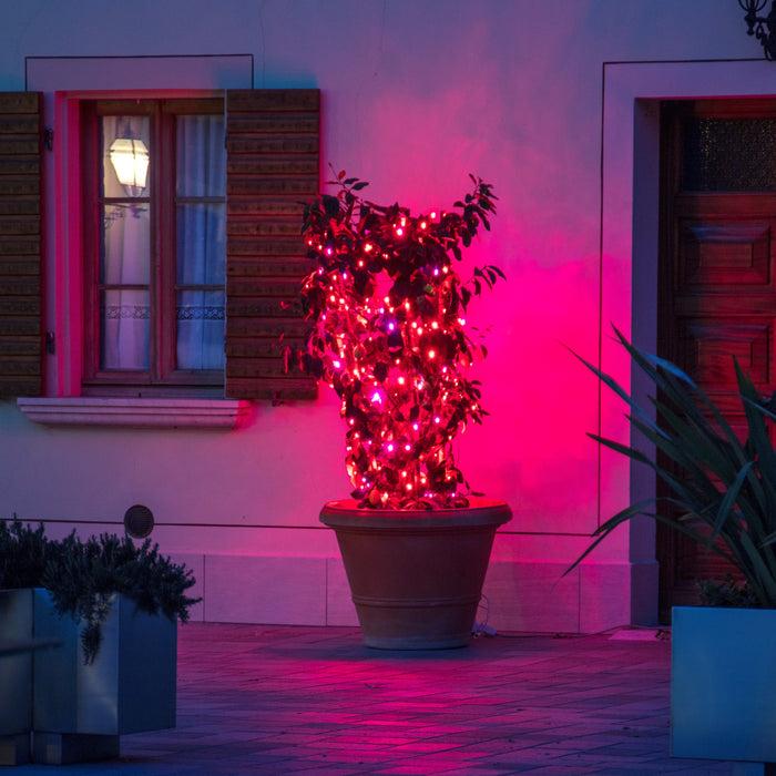 Guirlande lumineuse LED Lotti RGB, 200 LED, 20m, IP44
