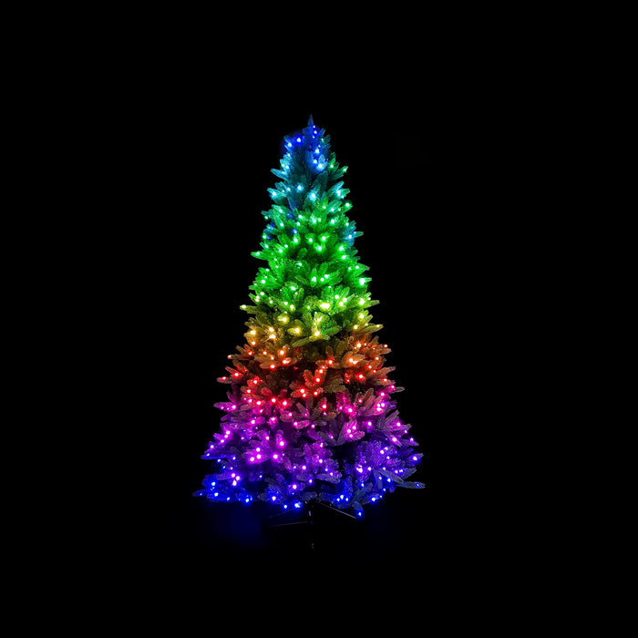Twinkly LED Christmas tree, RGB+W, 435 LEDs, 2.1m, IP20, app-controlled